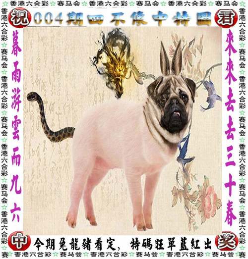 四不像正版资料2025和国际调解院在港成立与国际调解院在港成立于哪一年