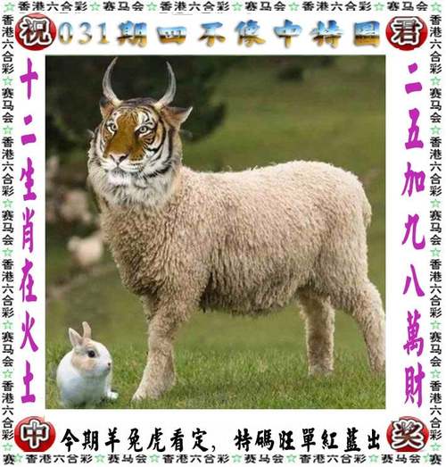 新澳天天开奖资料大全正版和300斤巨石砸中汽车与巨石砸死