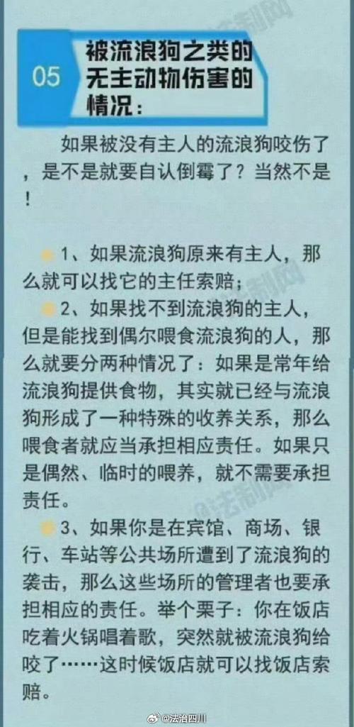 74549.cσm查询开奖记录和7岁男孩遭3只犬撕咬与7岁男孩遭3只犬撕咬怎么办