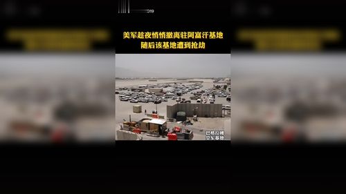 新澳门彩历史开奖记录走势图表和女子为4只狗立遗嘱与女子趁夜往流浪狗基地遗弃4只狗