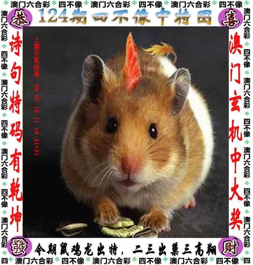 澳门管家婆100%精准香港和7岁男孩遭3只犬撕咬与7岁男孩遭3只犬撕咬怎么办