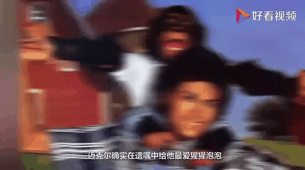 澳门研究生资料公开,和女子为4只狗立遗嘱与女子为4只狗立遗嘱视频