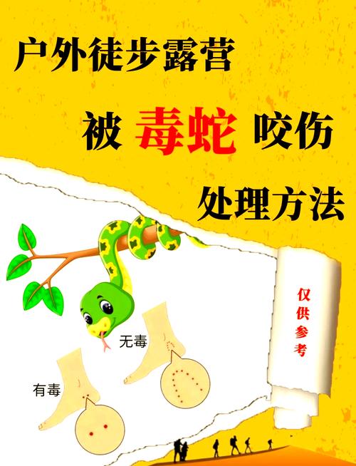 2025年新澳今晚资料大全和女子遭毒蛇咬伤身亡与女子遭毒蛇咬伤身亡视频
