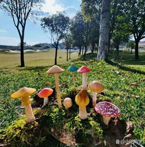 2025年天天彩资料大全和一家6口吃蘑菇中毒与一家六口吃蘑菇中毒