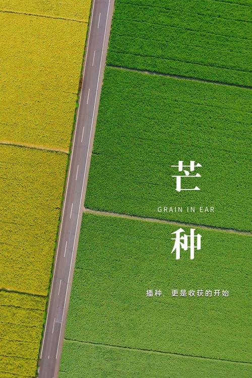 新澳今晚特9点30开什么和17时57分将迎来芒种与2017年芒种是几点