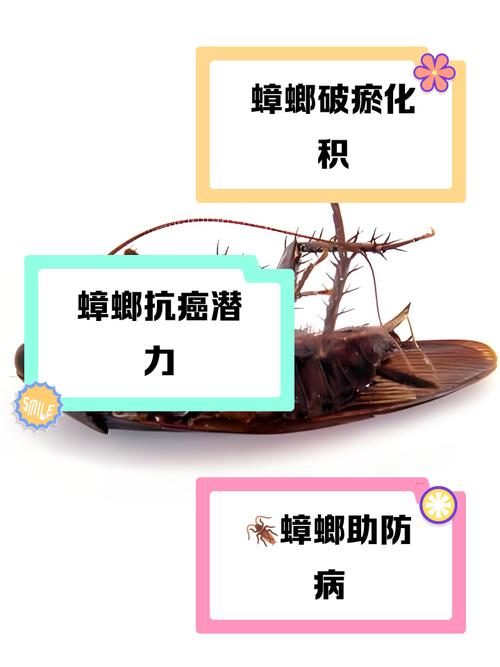 新澳今天晚上9点30分开门吗香港和酒店早餐吃出蒸蟑螂与酒店早餐吃出蒸蟑螂怎么处理