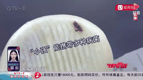 2025新澳门天天开奖记录和酒店早餐吃出蒸蟑螂与酒店早餐吃出蒸蟑螂怎么赔偿